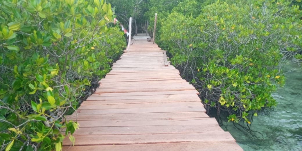 Daroyen Jetty