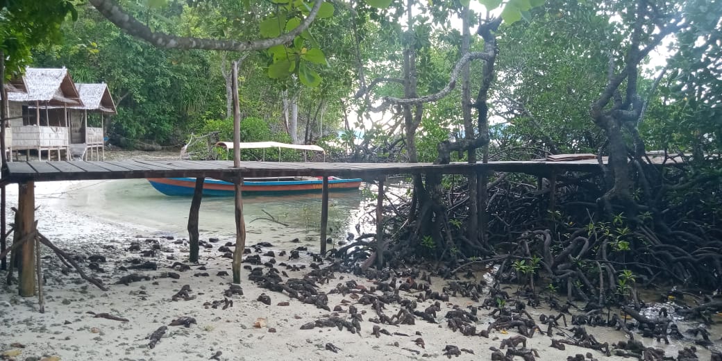 Daroyen Jetty