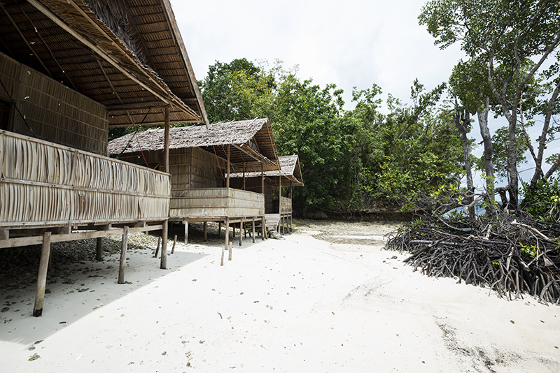 Daroyen Village Beach and Mangrove