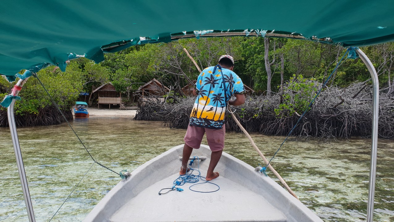 Daroyen Village Mangrove