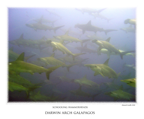 darwin arch galapagos