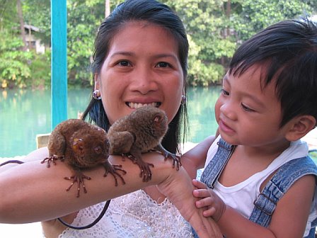 davetarsier