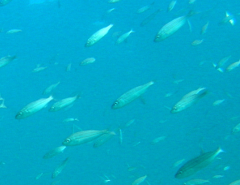 Day 3- Our own little cove