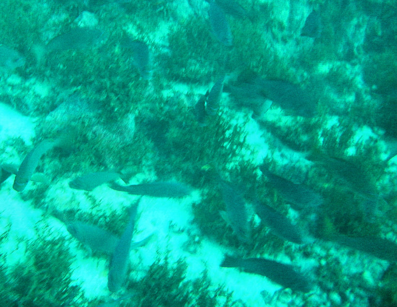 Day 3- Our own little cove