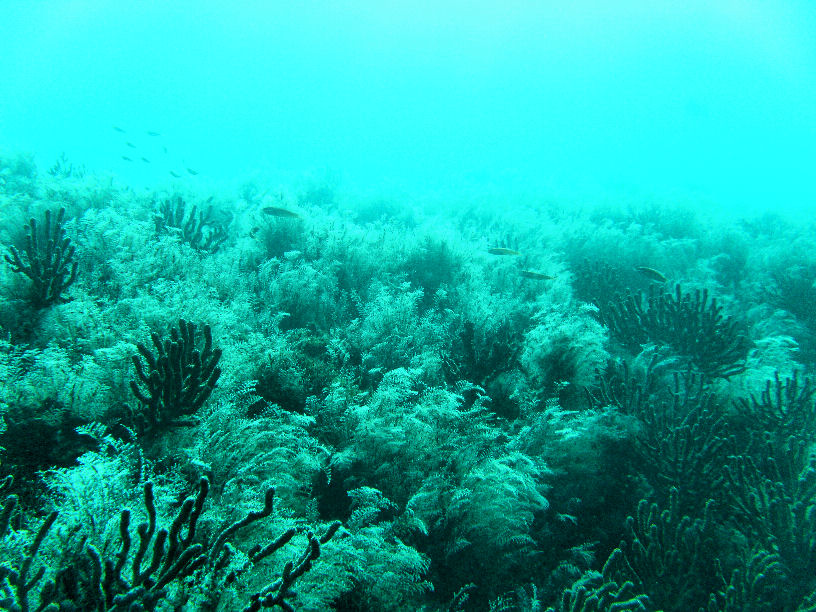 Day 5- Wed- Calm seas and wonderful scenes...