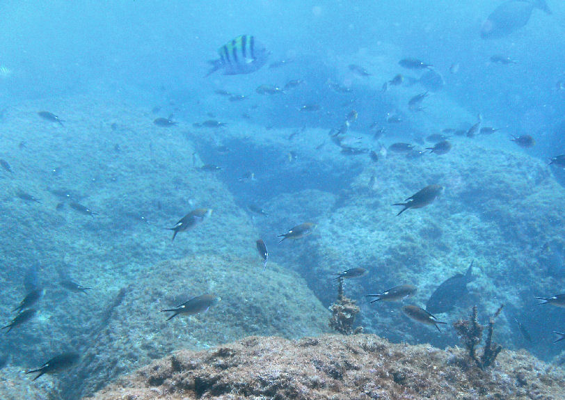 Day 7- Fri- Our last day of diving for the week!