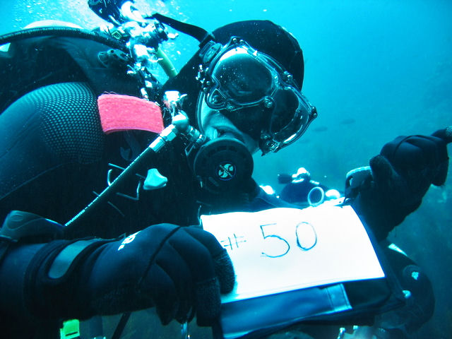 DB's 50th dive