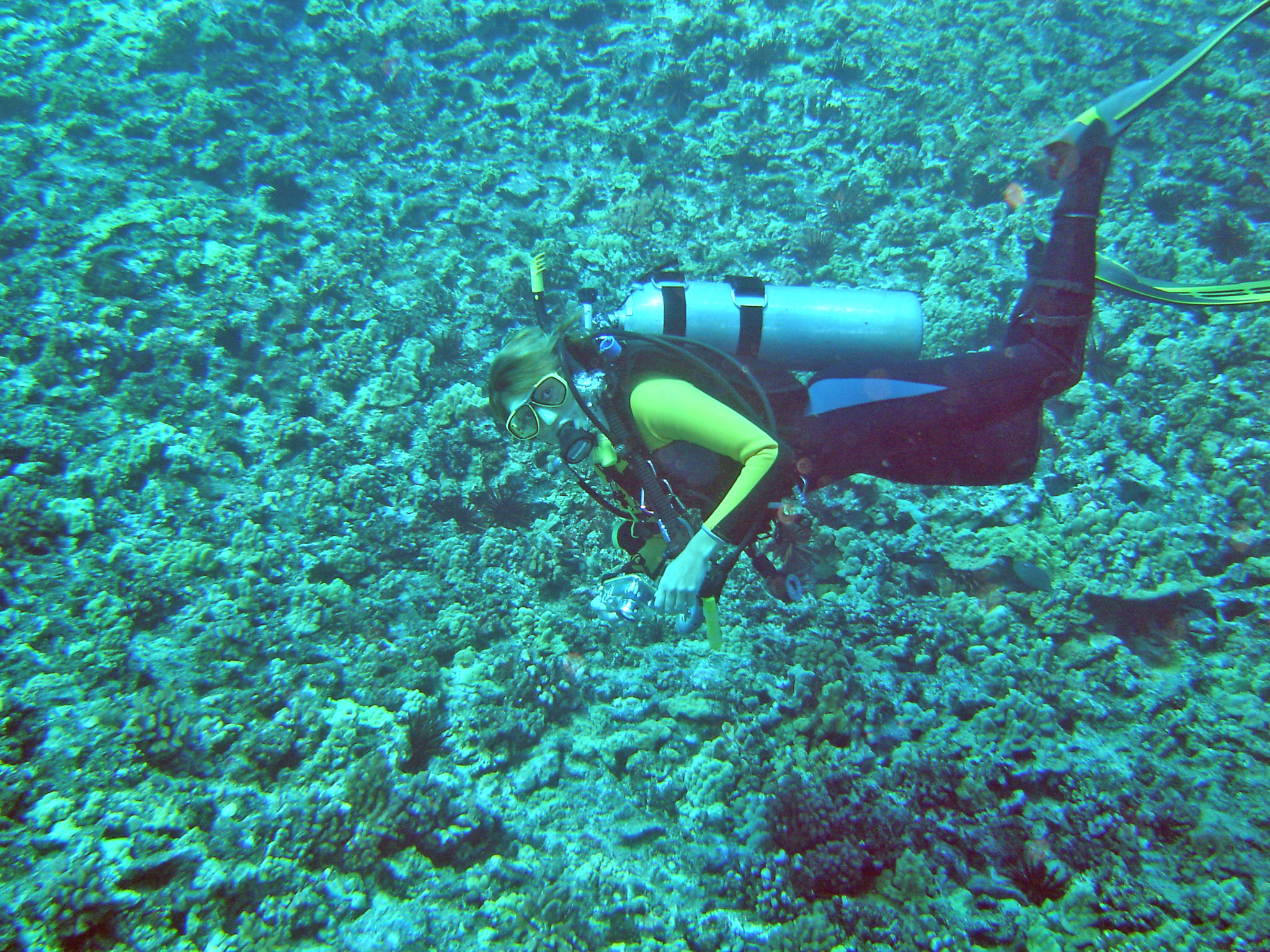 Deb diving Molokini back wall