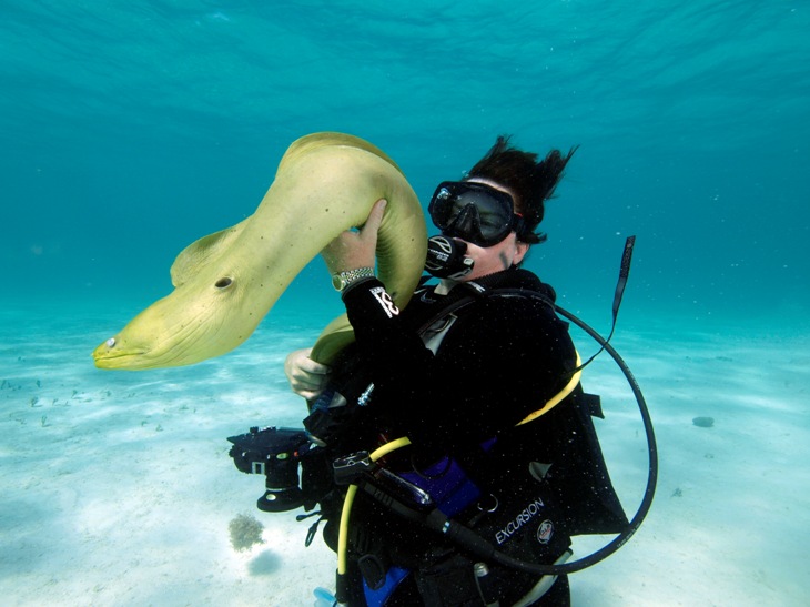 Debra and the Moray Eel