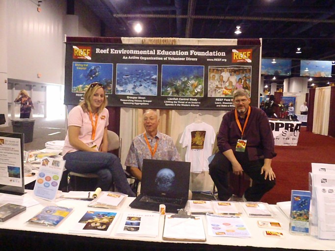 DEMA 2010