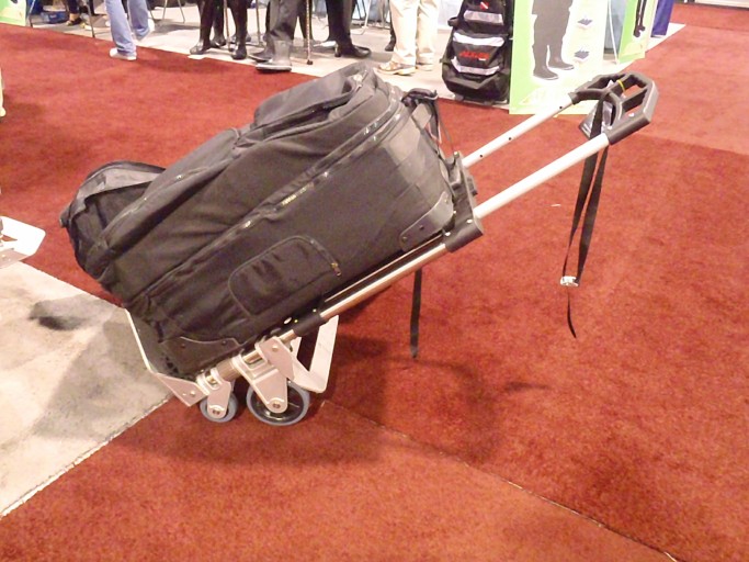 DEMA 2010