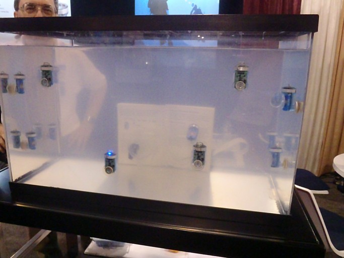 DEMA 2010