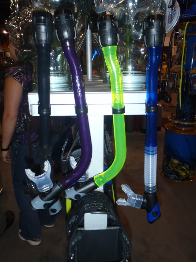 DEMA 2010