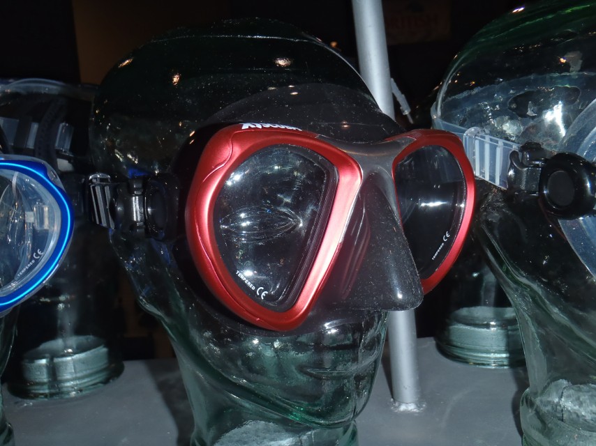 DEMA 2010
