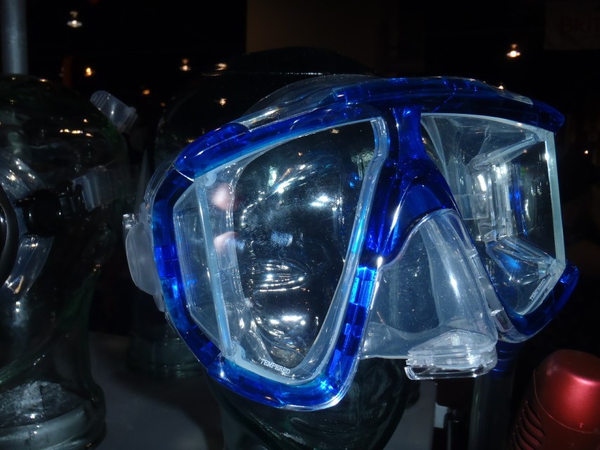 DEMA 2010