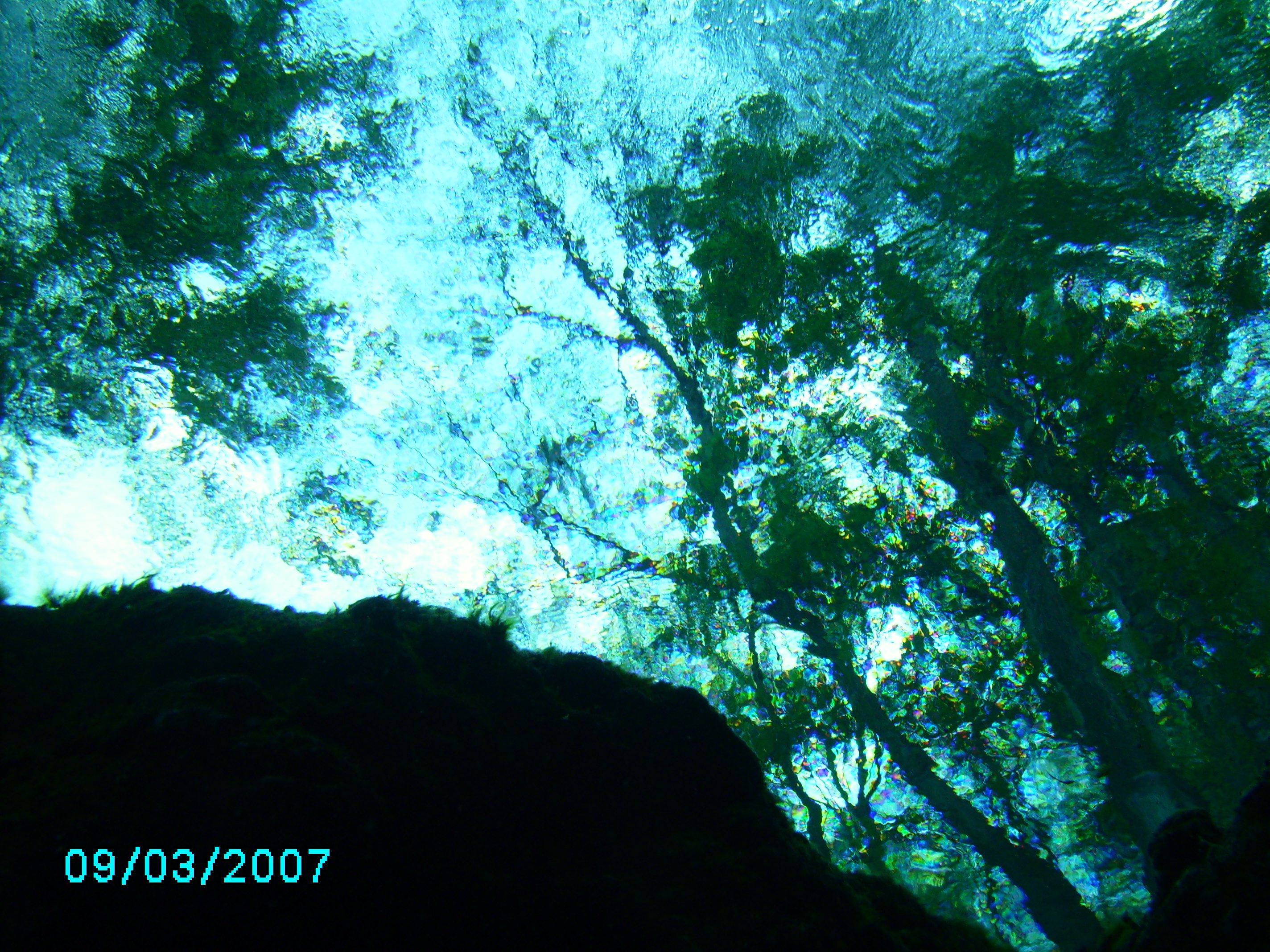 Devils Eye Looking Up