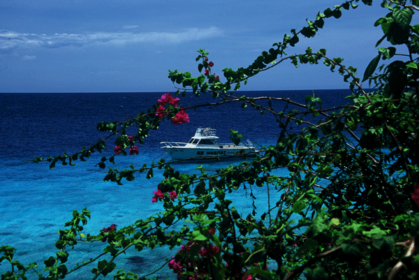 Dive-Boat-Curacao
