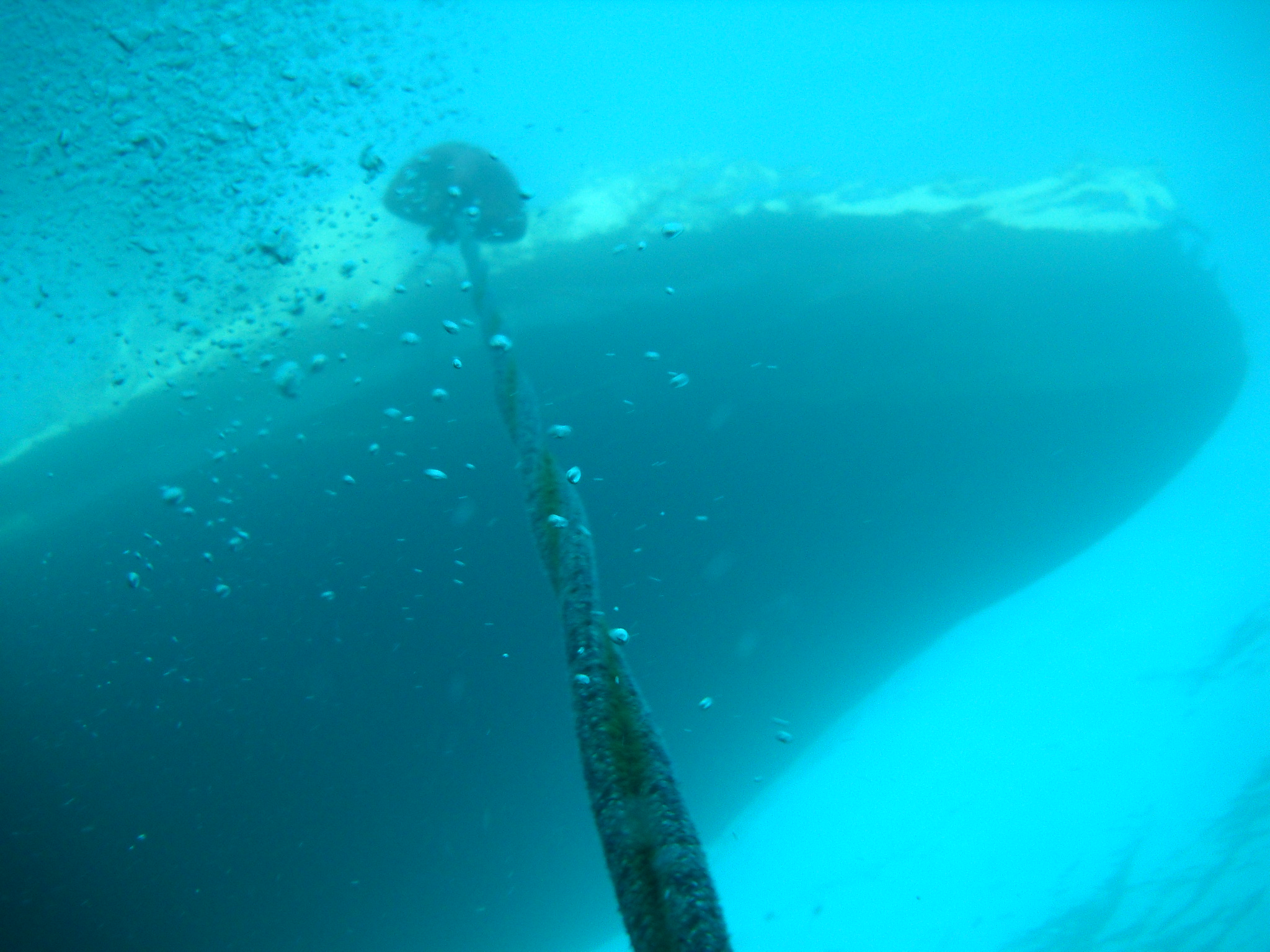 Dive Boat Orkney Isle Oakville Divers