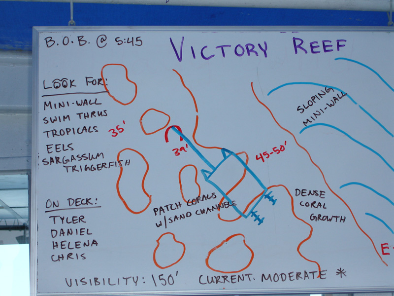 Dive Briefing Victory Reef - Nekton to Cay Sal Bank