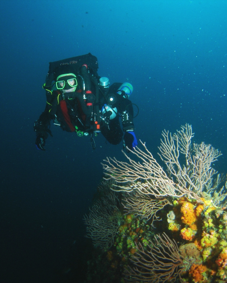 Dive Buddy Don Hovering Over the Reef in Pompano Beach