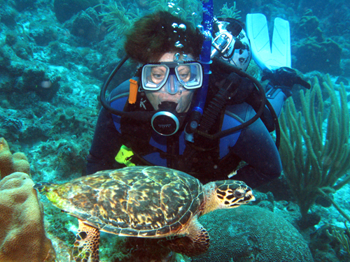 Dive Buddy & Turtle