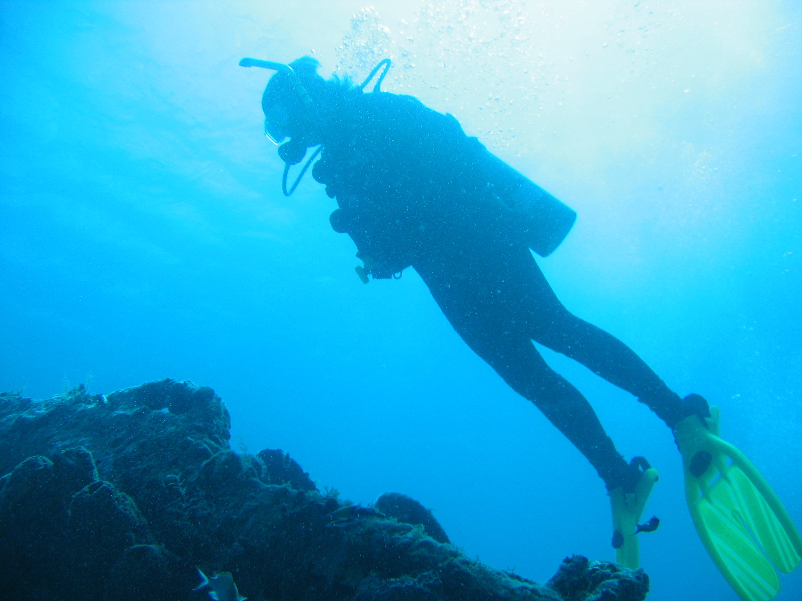 Dive instructor