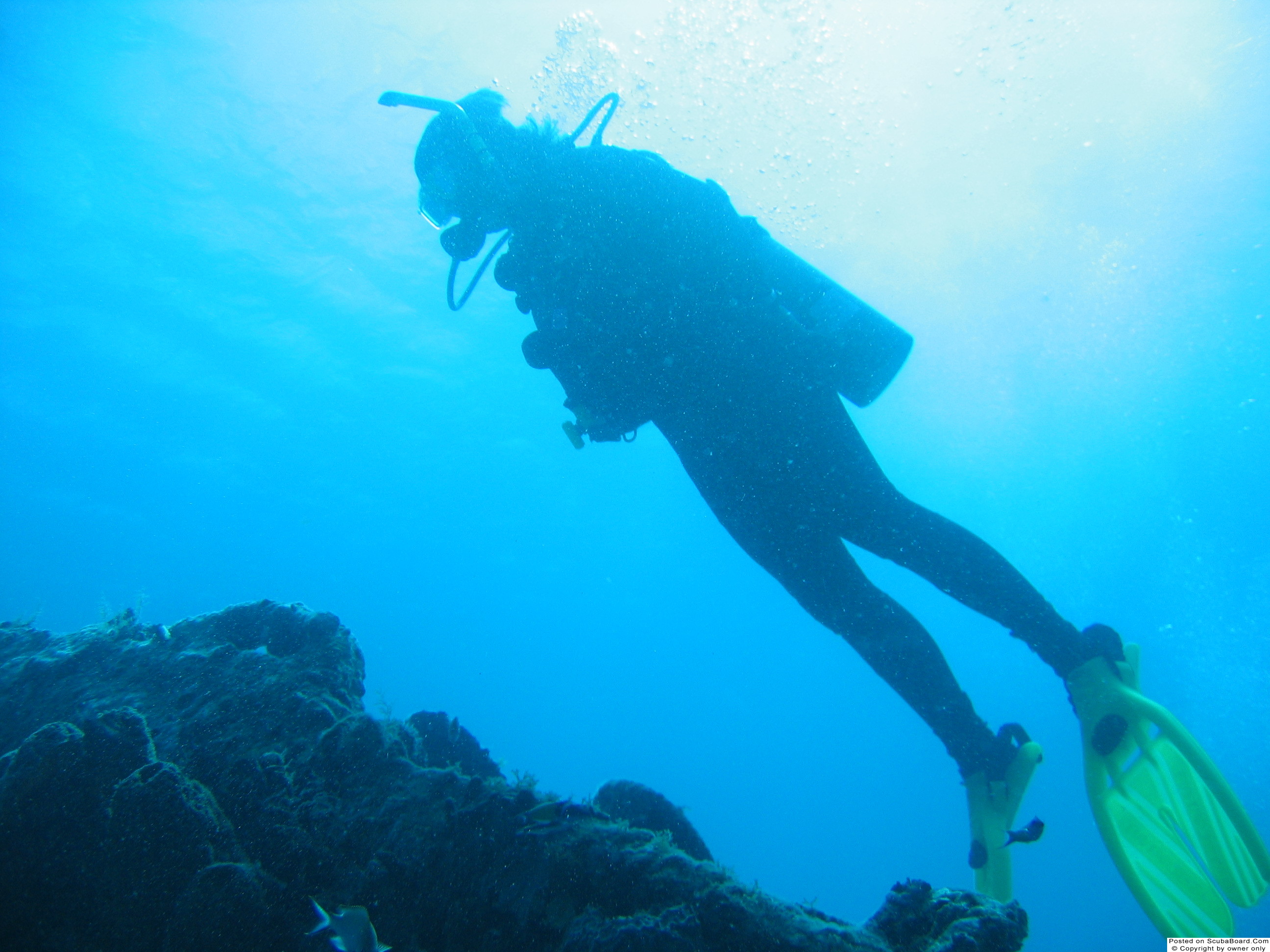 Dive instructor