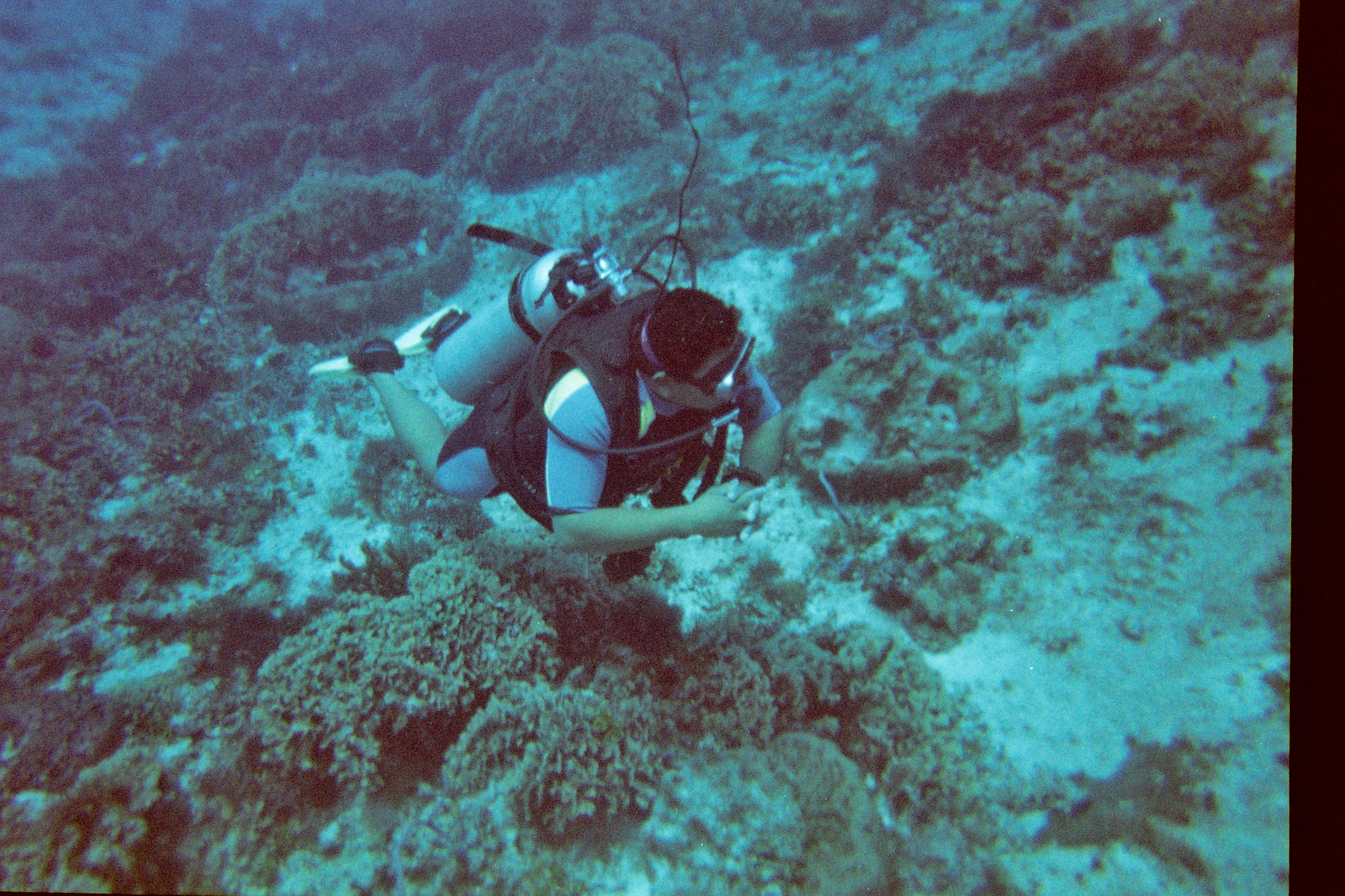 Divemaster Pedro