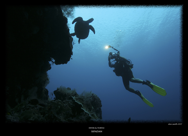 diver and turtle