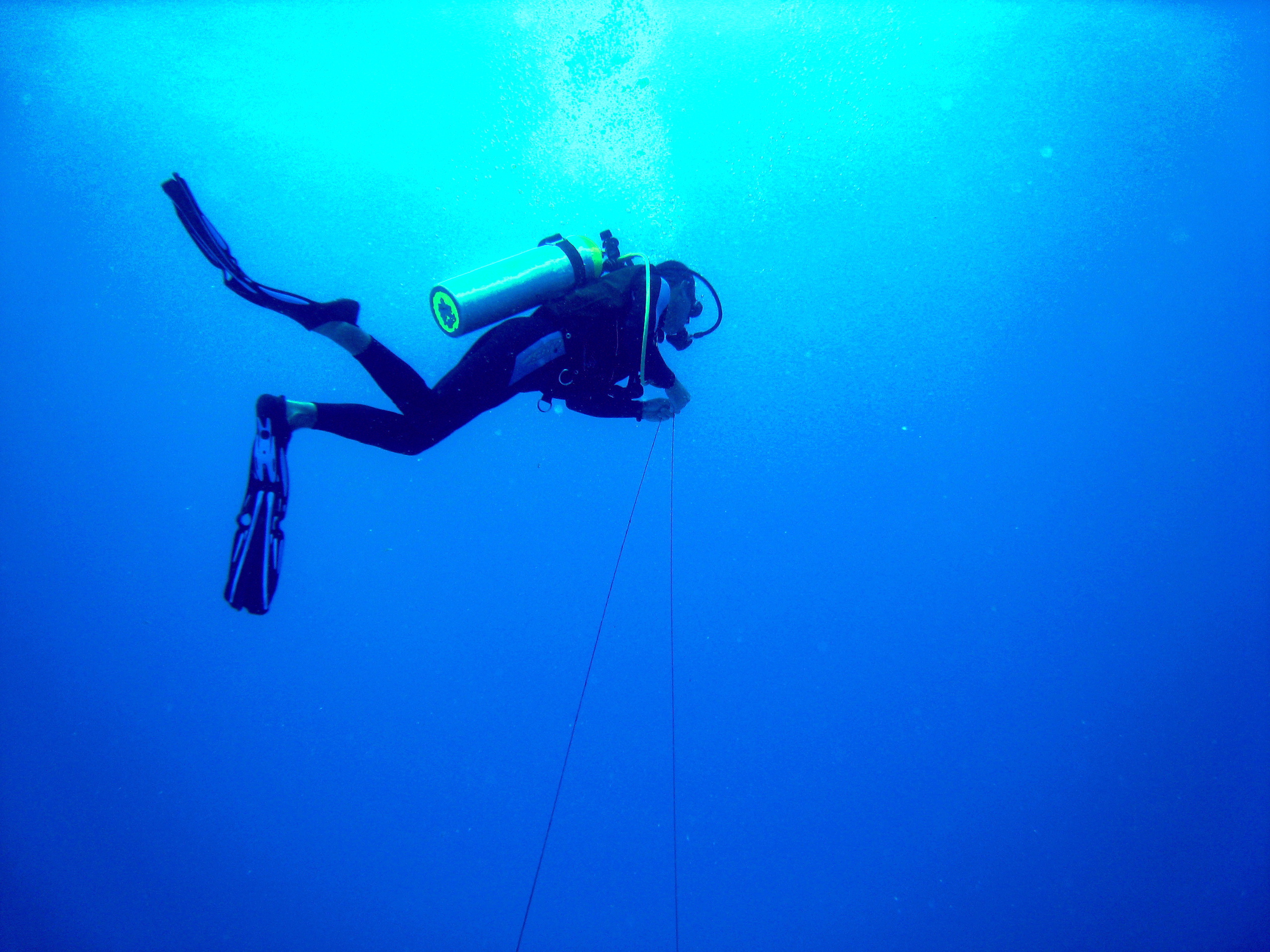 DIver Ascending