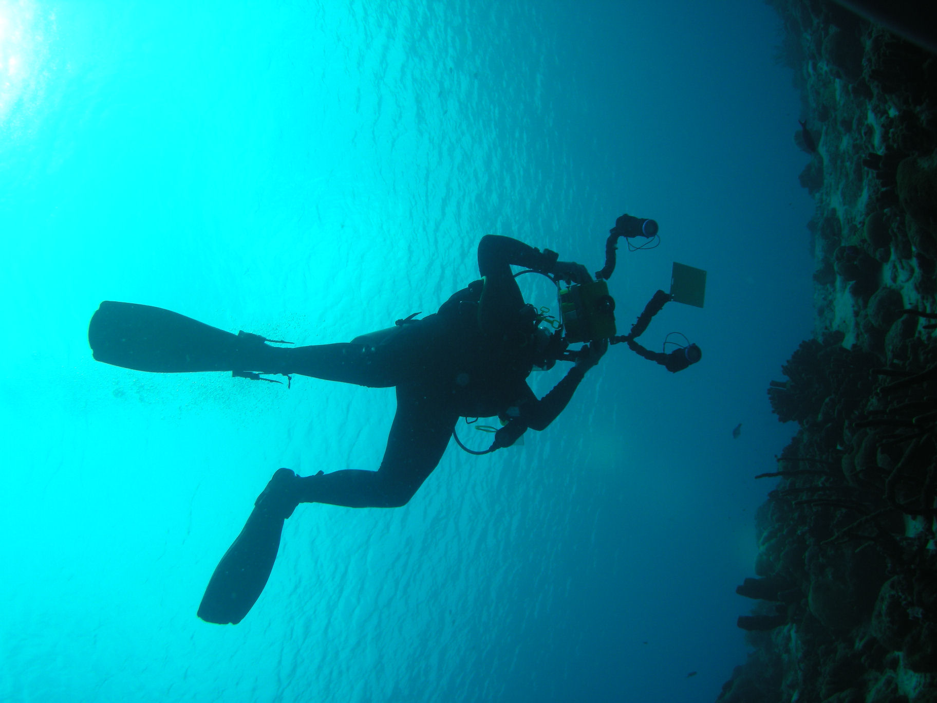 Diver Filming