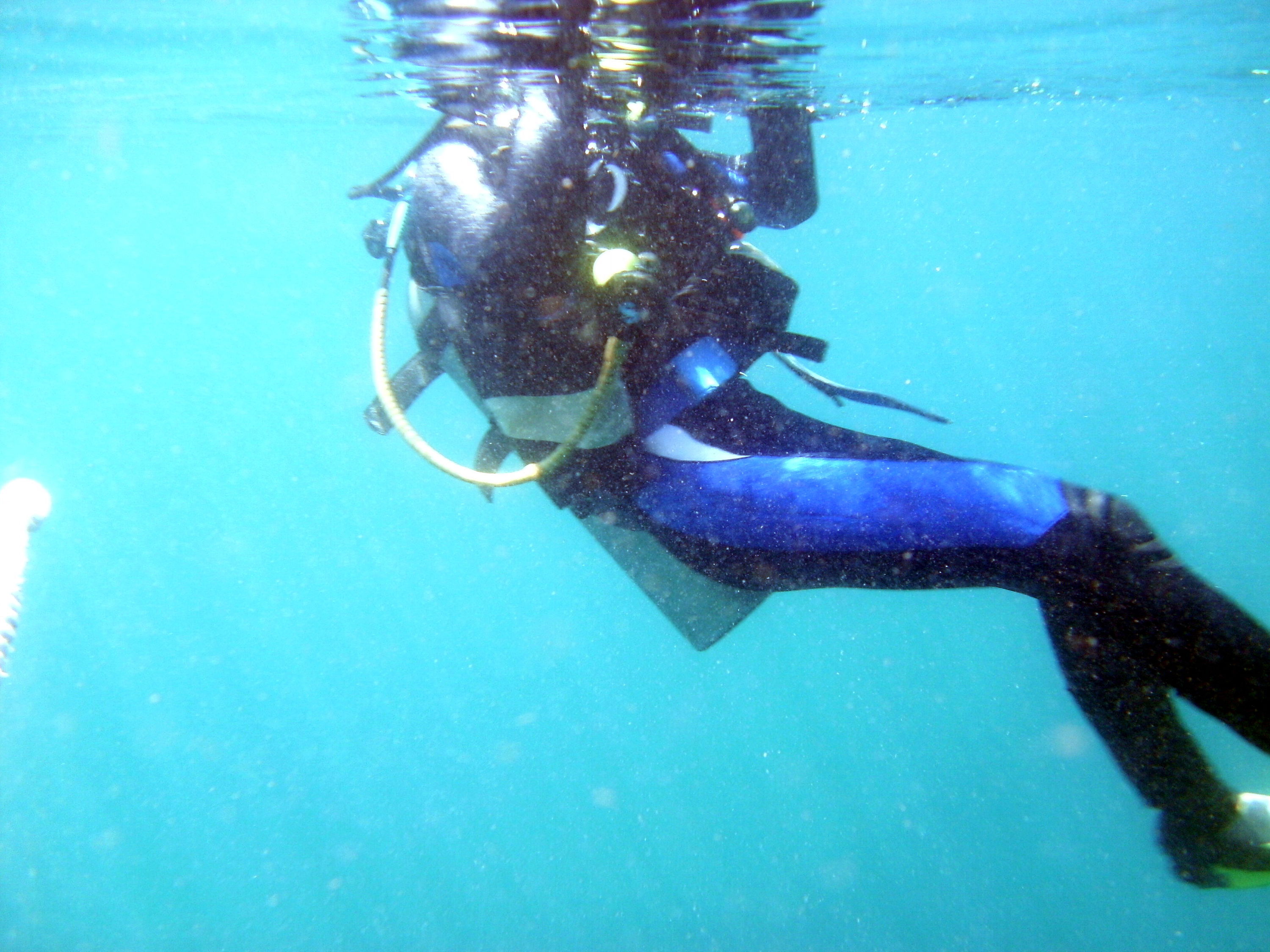 Diver in Bootless Bay PNG
