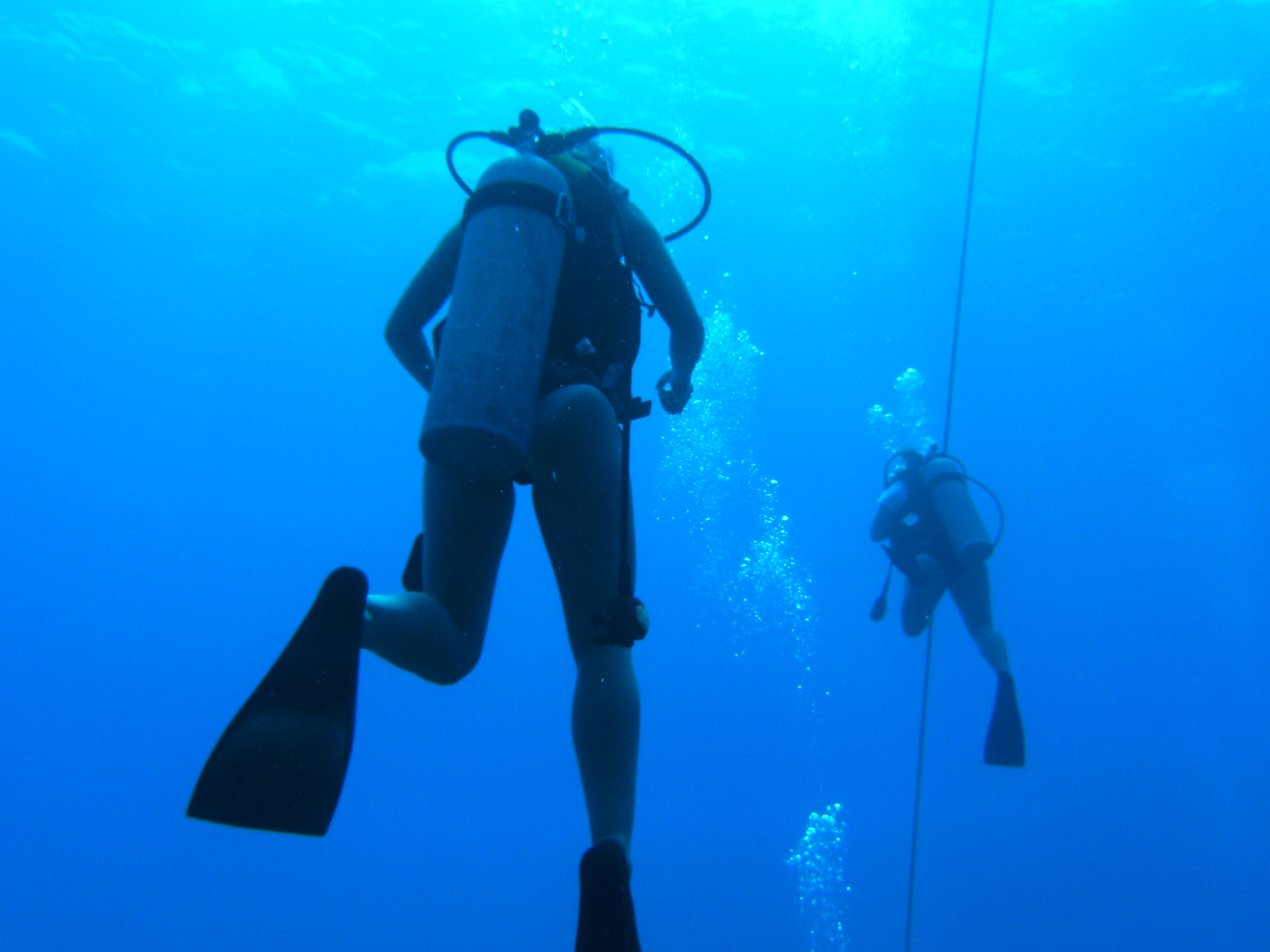 diver in Grand Cayman