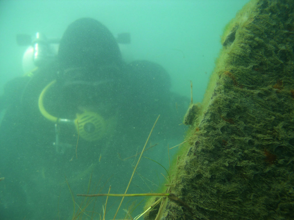 Diver on the Badger State