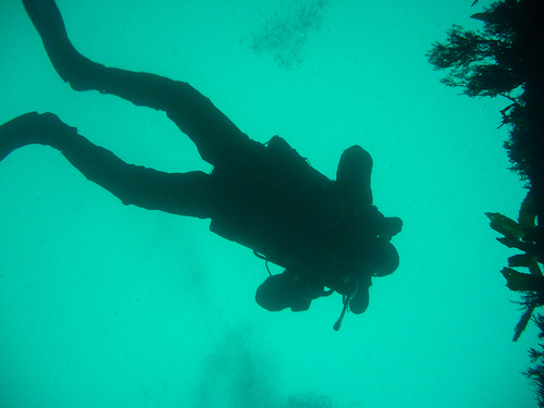 Diver outside J4 sub