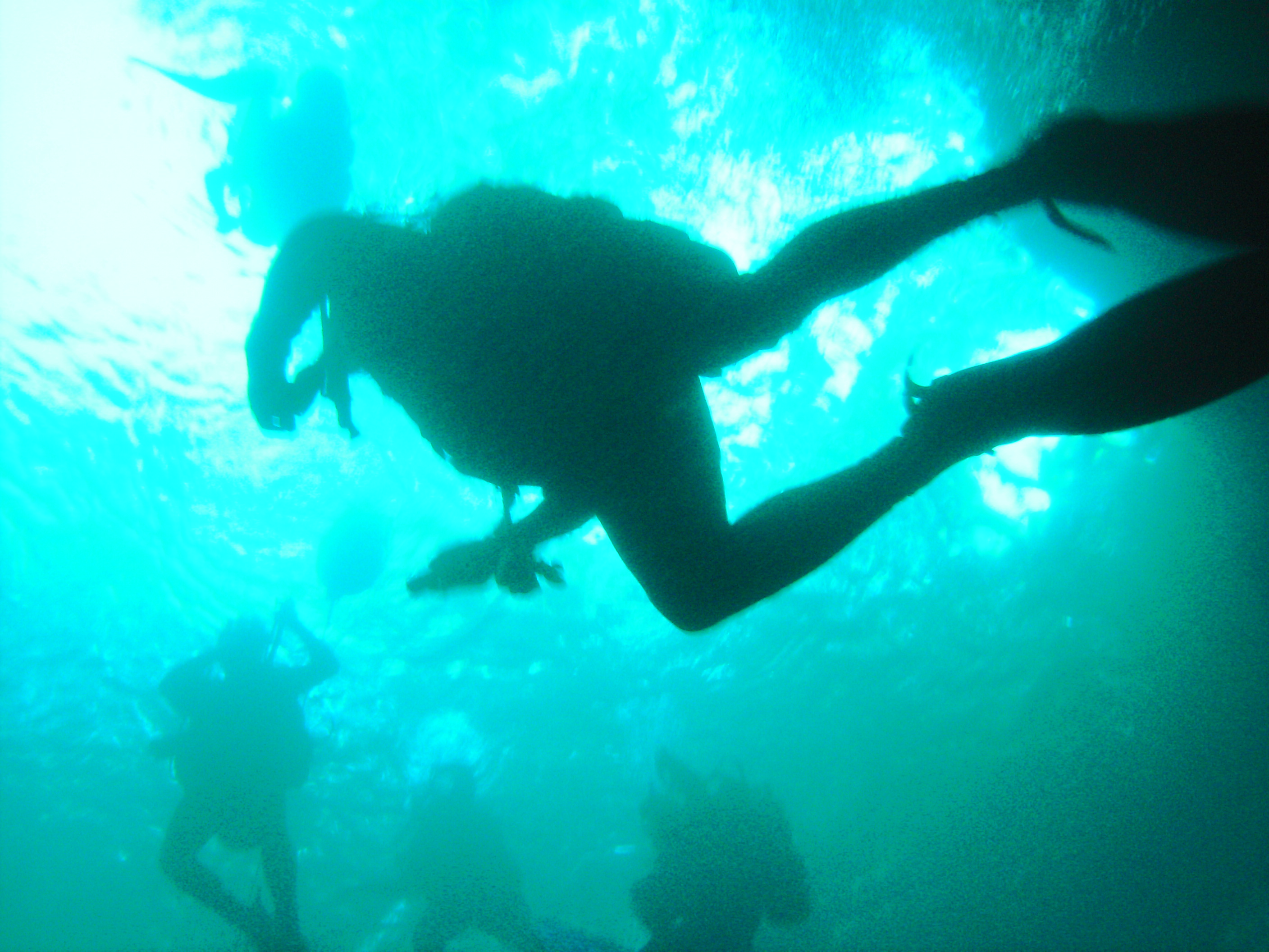 Diver surfacing at Ginnie Springs