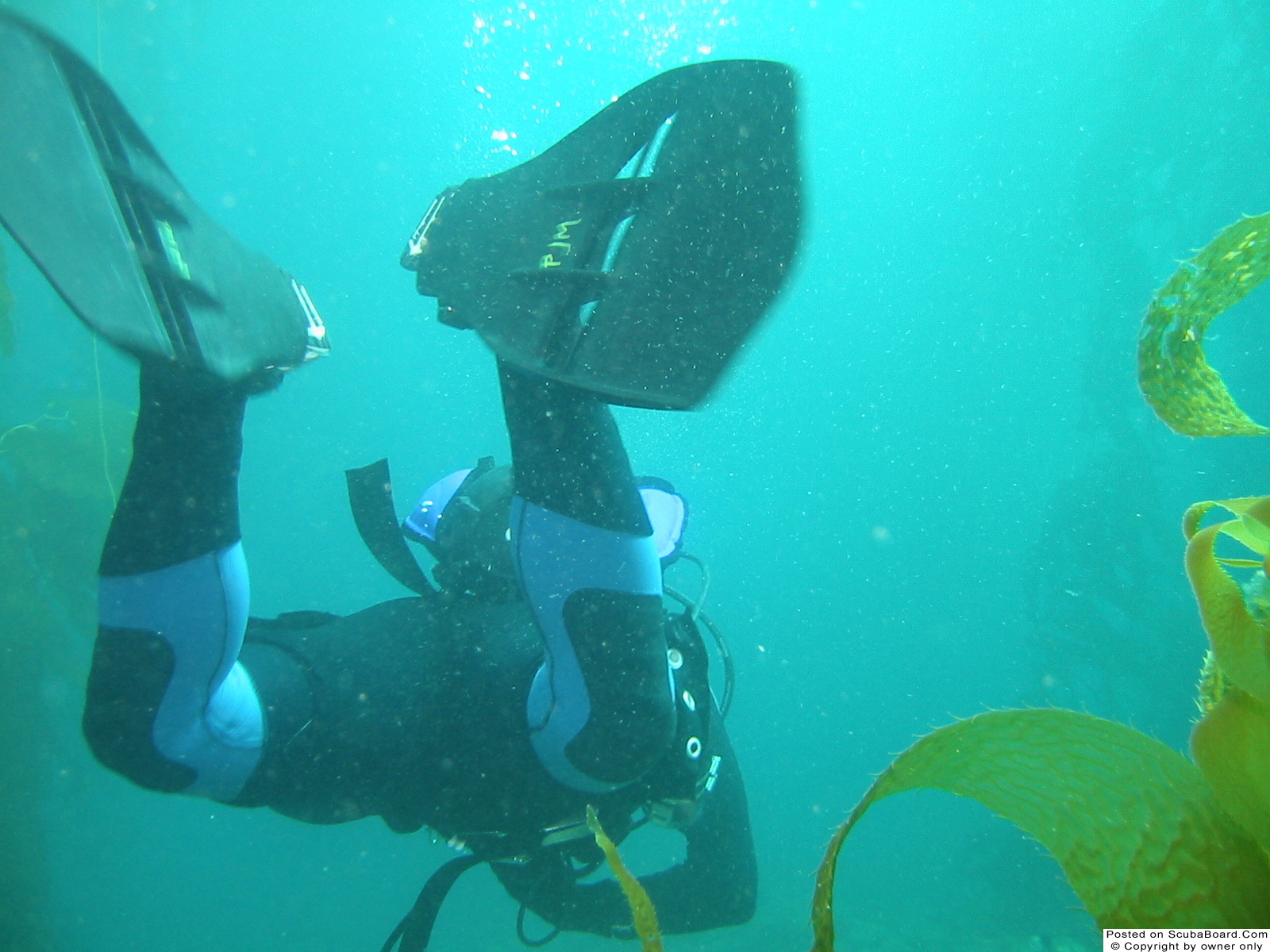 Diver swimming