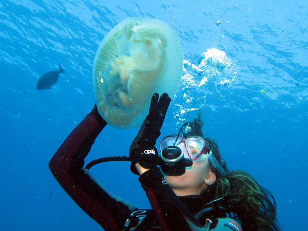 Diver with a jellyfish