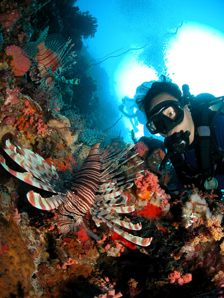 Diver With Lion Fish