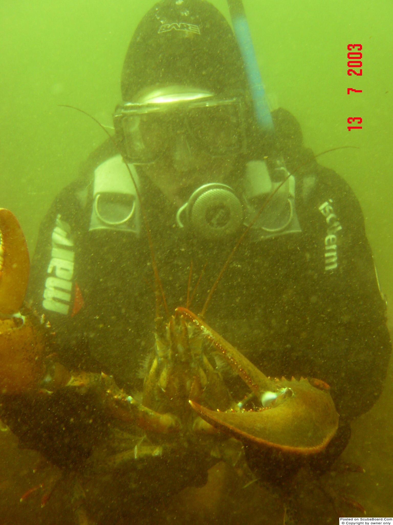 Diver with lobster.