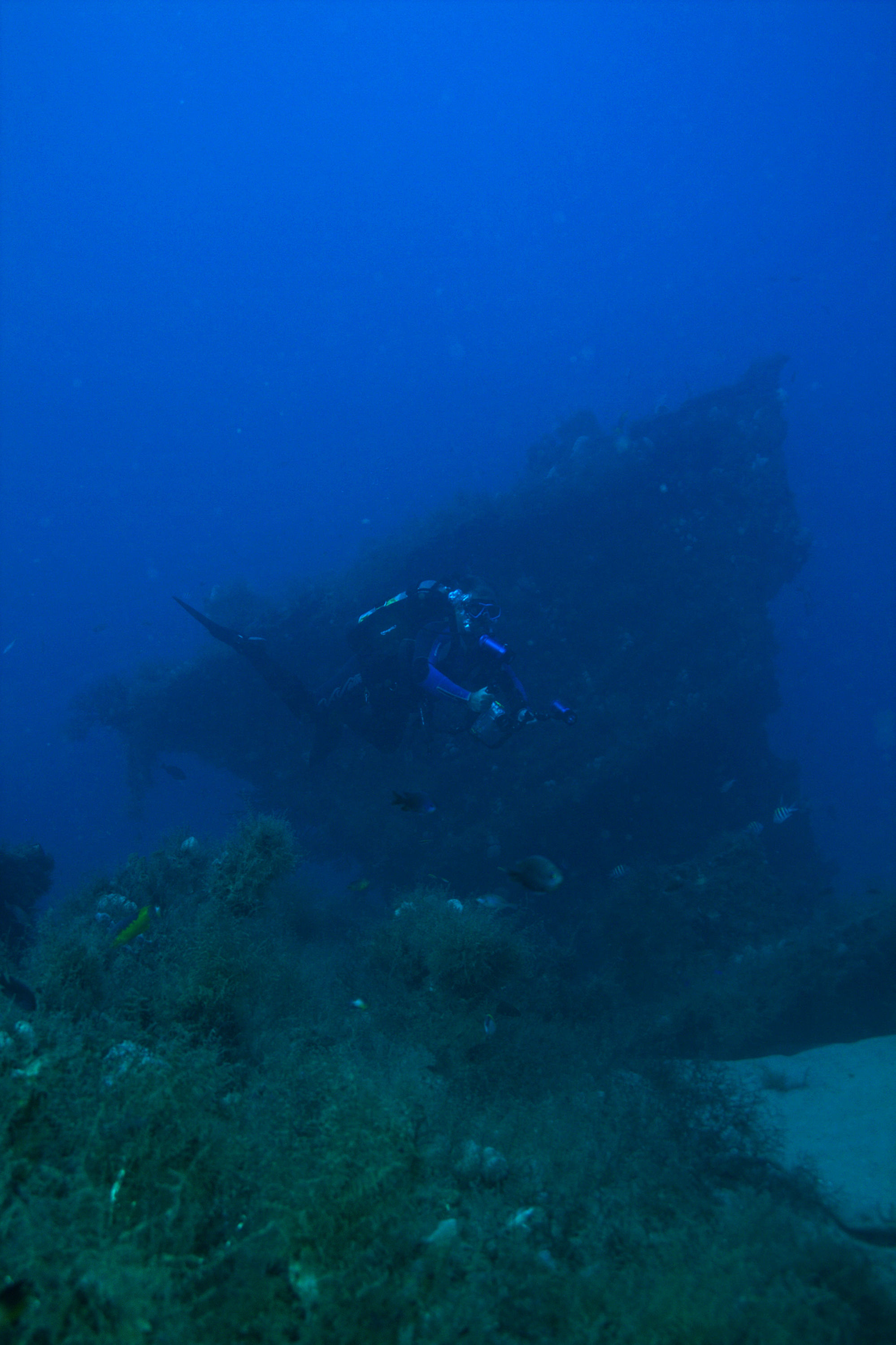 Diver_Wreck