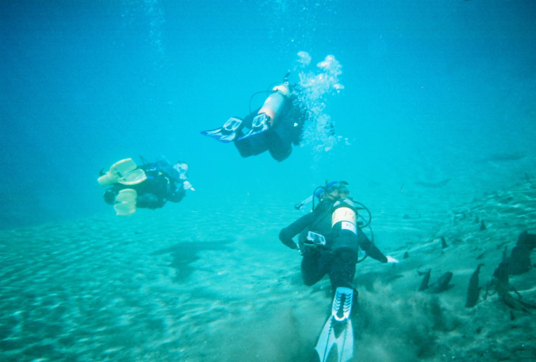 Divers at Morrison Springs, florida