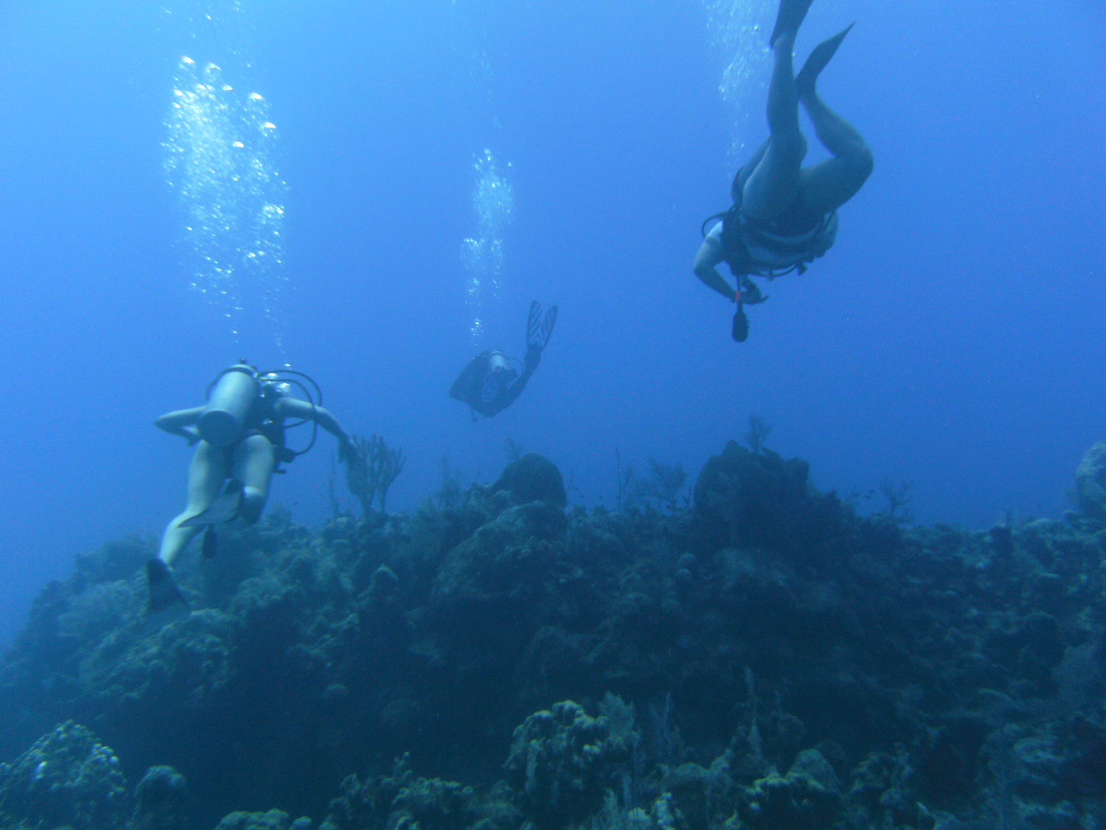Divers in Grand Cayman