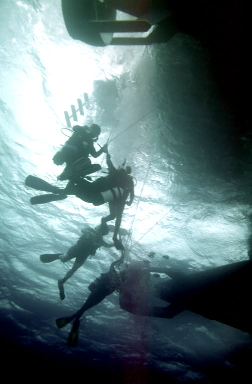 Divers on Nekton Platform