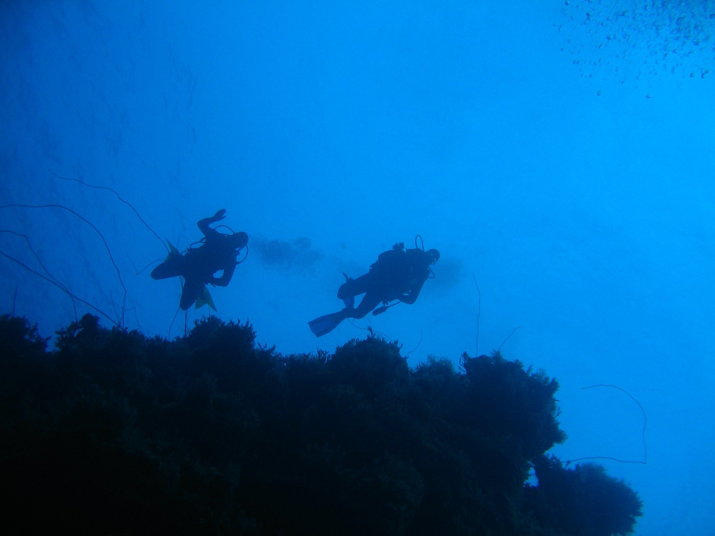 Divers On the Wall