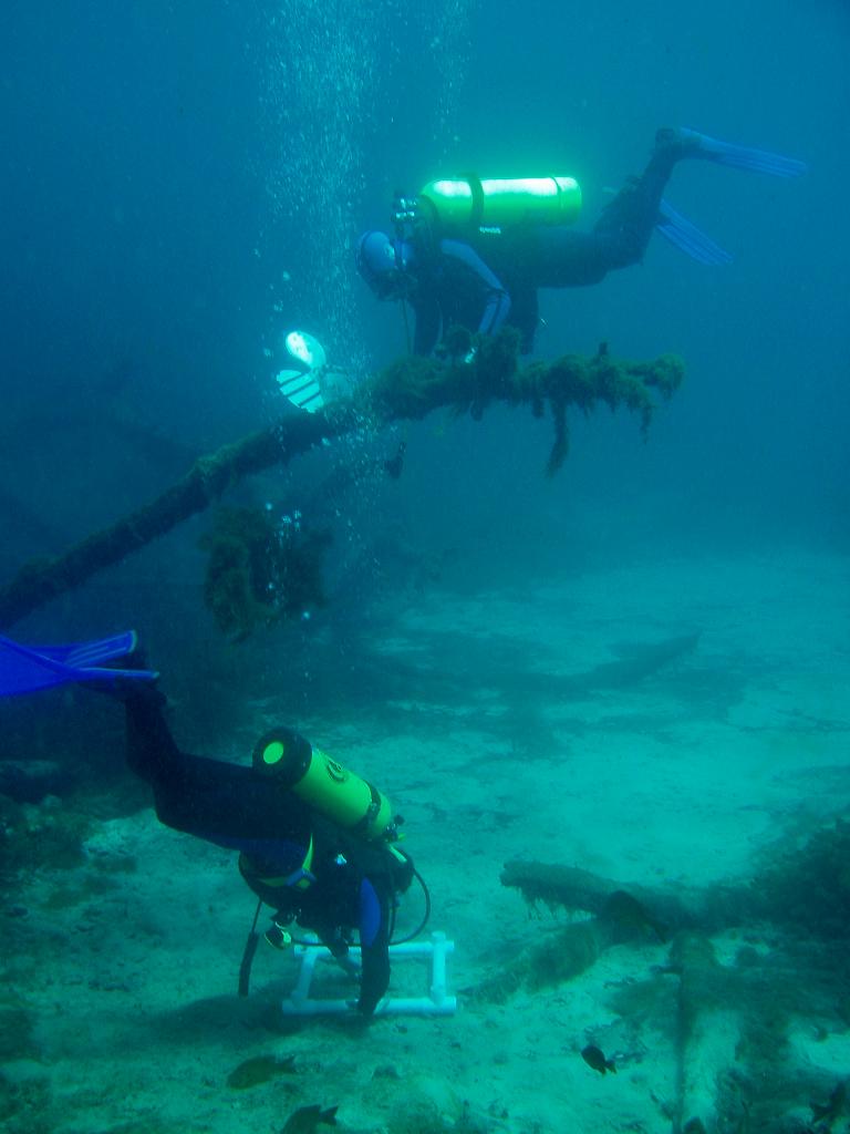 Divers over Cream of Wheat