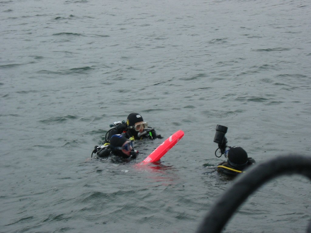 Divers surface on a rainy day in Britain