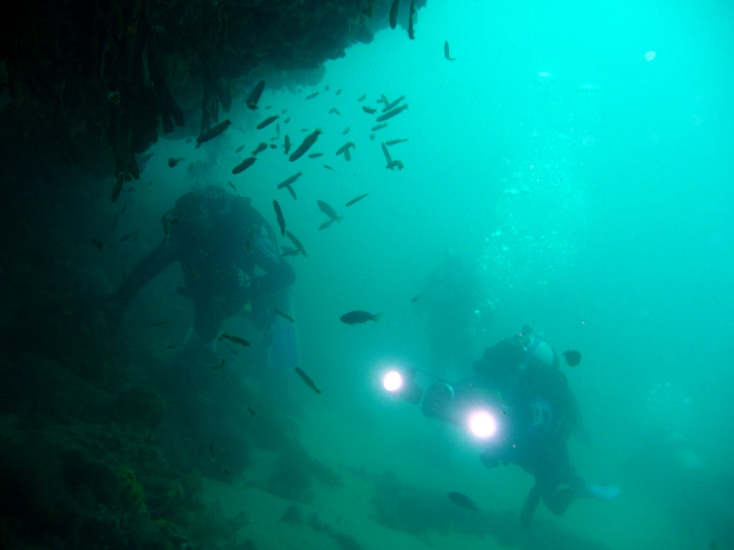 Divers videoing the wreck