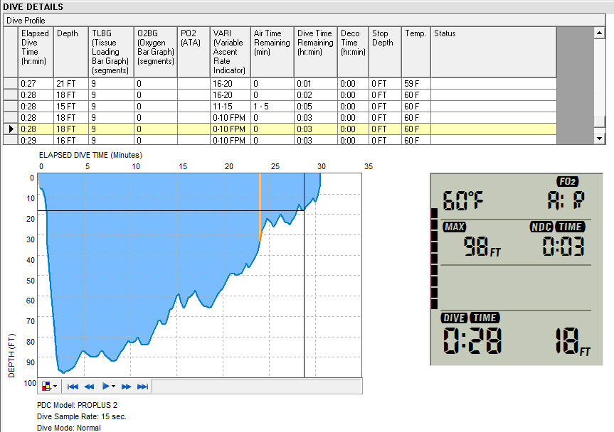 DiveView4