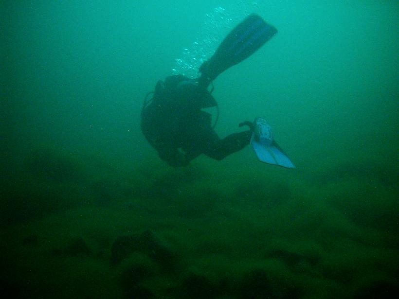 Diving at Komati springs